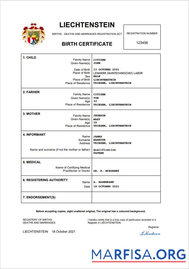 Blank Liechtenstein vital record birth certificate Word and PDF template